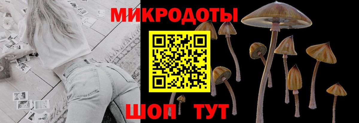 Галлюциногенные грибы MAGIC MUSHROOMS  Вход с VPN  Галлюциногенные грибы прущие грибы  Старый Оскол 